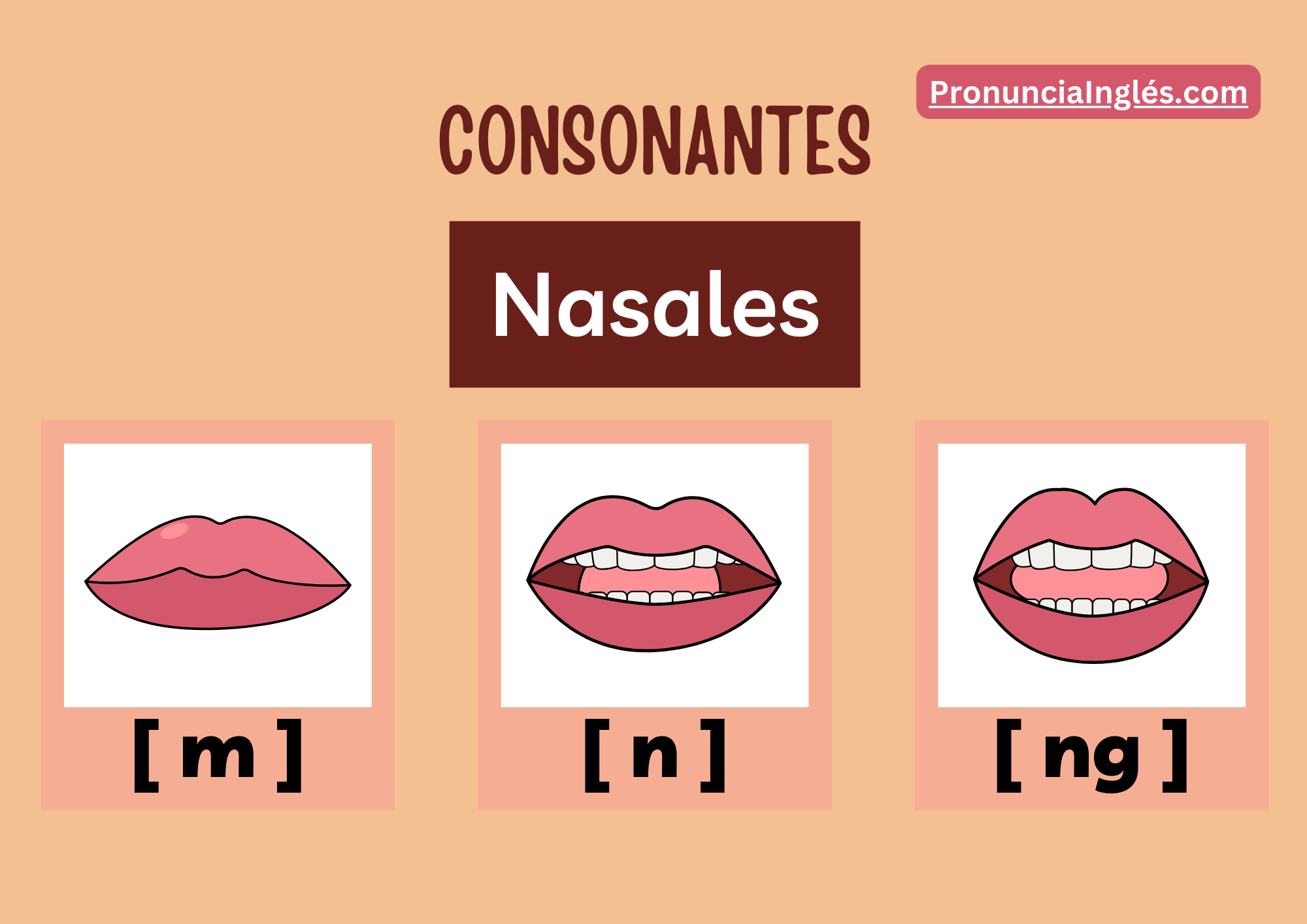 Consonantes Nasales - Idioma Inglés - PronunciaInglés.com